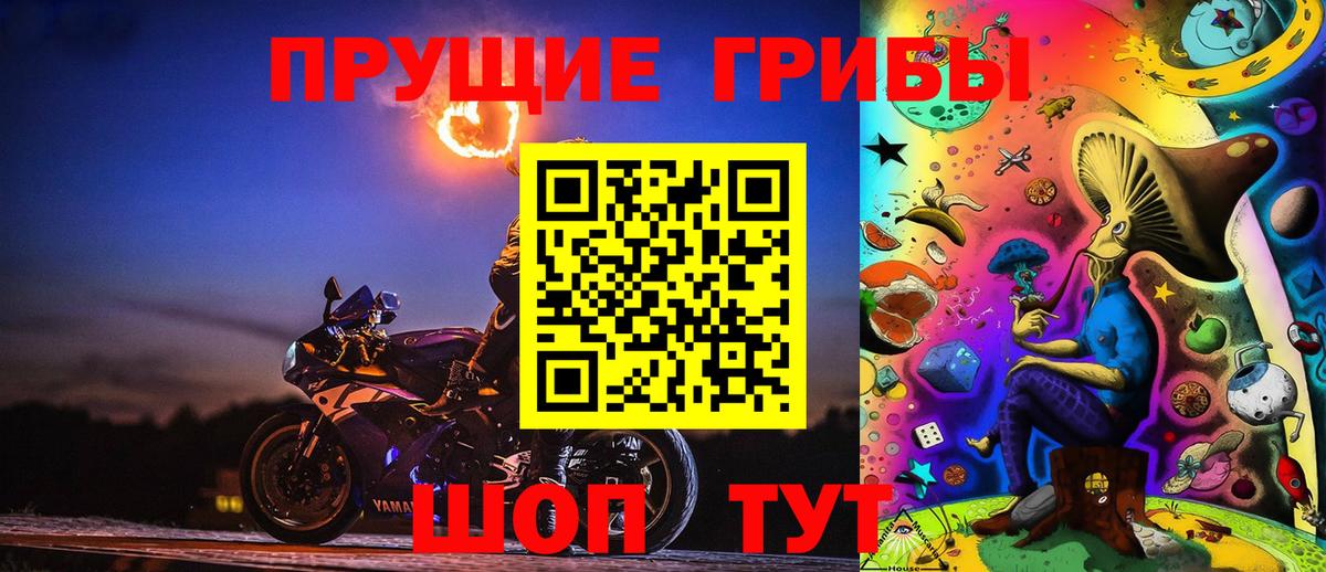 Псилоцибиновые грибы Psilocybine cubensis Артёмовский